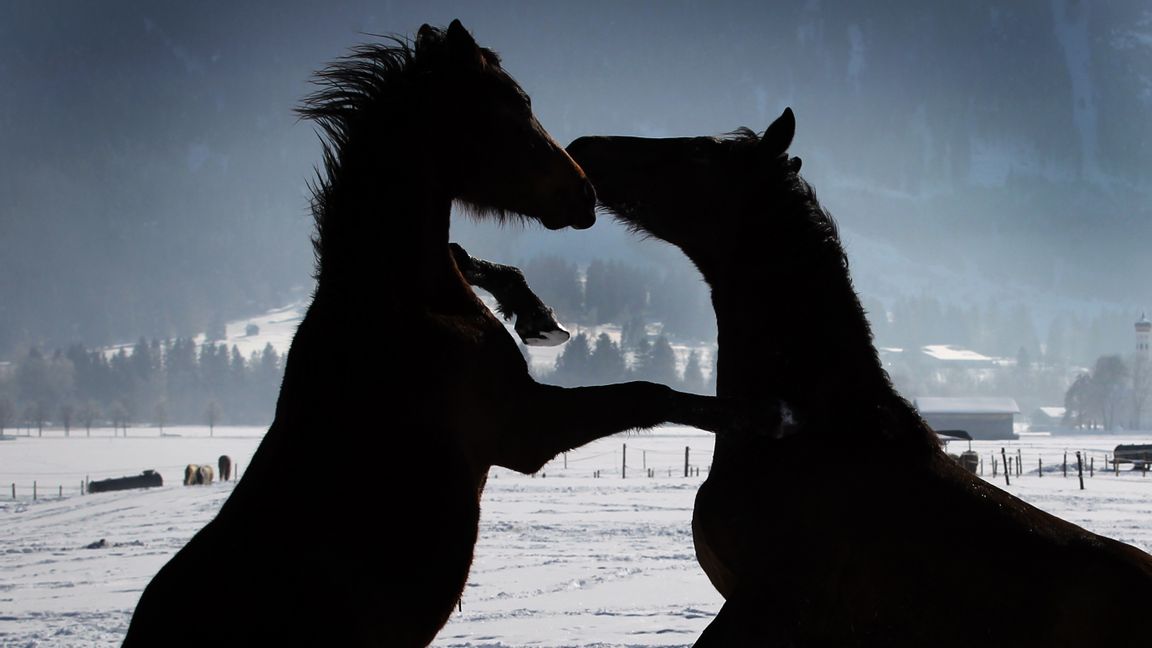 Karl-Josef Hildenbrand/AP Photo/dpa/TT.