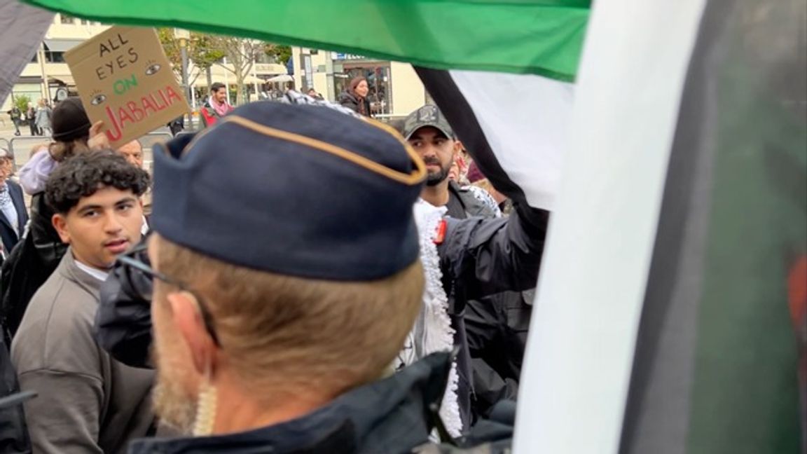 Bild från demonstrationen där frilansjournalisten misshandlades. Foto: Privat