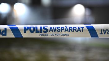 Genrebild. Foto: Claudio Bresciani/TT