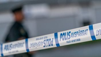 Arkivbild. Foto: Johan Nilsson/TT