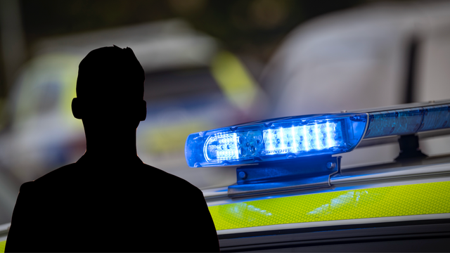 Montage/genrebild. Foto: Pexels/Johan Nilsson/TT