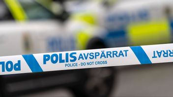 En man i 50-årsåldern har anhållits på sannolika skäl misstänkt för mordförsök efter våldsdådet i Lycksele kommun där tre personer skadades. Arkivbild. Foto: Johan Nilsson/TT.