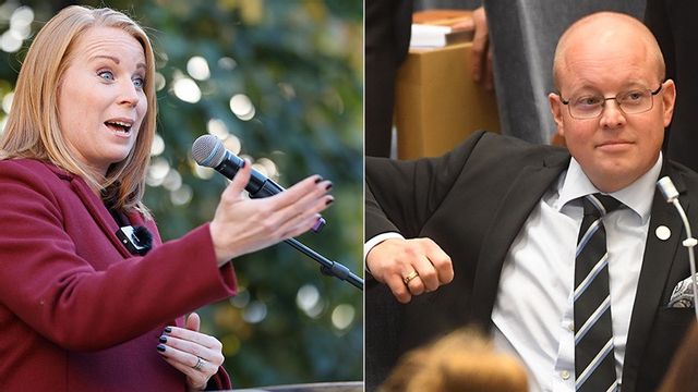 Annie Lööf är missnöjd med utnämningen av Björn Söder till OSSE-ordförande. Foto: Christine Olsson/TT / Fredrik Sandberg/TT