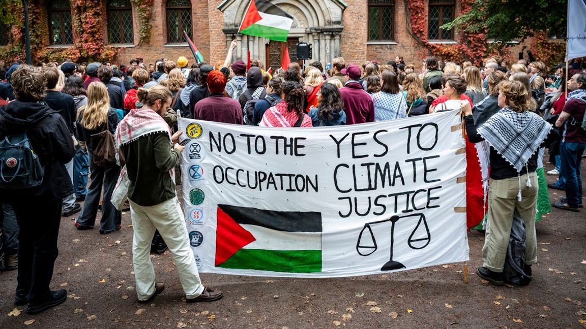 En gruppering som omfattar flera politikområden, men som alltid är bråkig, växer fram och har sin udd mot demokratin. Foto: Johan Nilsson / TT