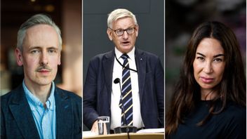 Andreas Gustavsson, Carl Bildt och Magda Gad är några av de som reagerat på USA:s operation i Venezuela. Foto: Magnus Lejhall/TT/Stefan Jerrevång/TT/Christine Olsson/TT