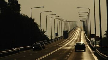 Det blev köer på Ölandsbron under söndagen. Foto: Diego Tirira  (CC BY-SA 2.0)
