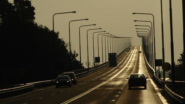 Det blev köer på Ölandsbron under söndagen. Foto: Diego Tirira  (CC BY-SA 2.0)