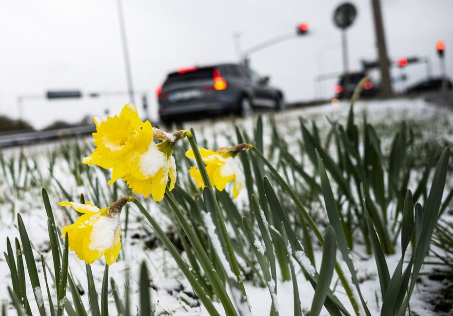 Skärtorsdagen brukar vara en intensiv dag på vägarna. Arkivbild. Foto: Johan Nilsson/TT