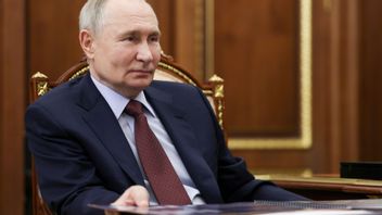 Rysslands president Vladimir Putin. Foto: Mikhail Metzel/AP/TT