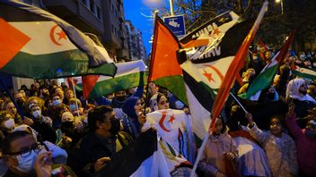 Protester i spanska staden Pamplona mot regimen i Marocko. Organisationen Polisario har hittat på en egen flagga och även skrivit en egen nationalsång. Foto: Alvaro Barrientos/AP/TT