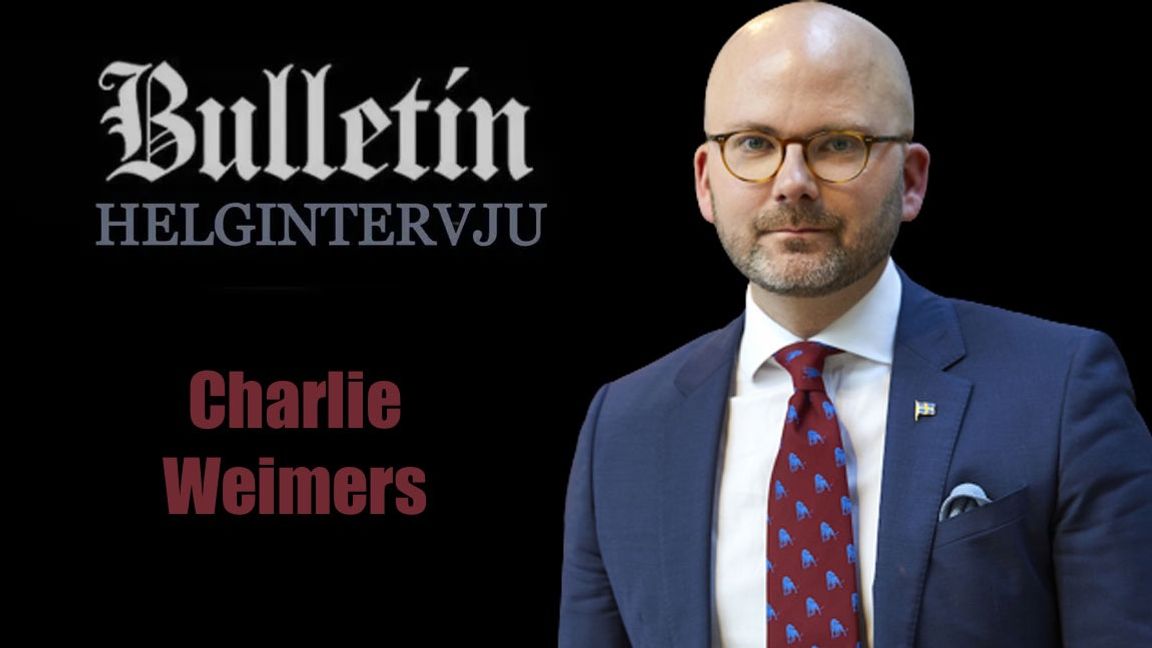 Charlie Weimers (SD) anser att det bara finns ett parti som tar Sveriges framtid på allvar. Foto: Fredrik Persson/TT