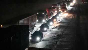 Foto: Johan Nilsson/TT