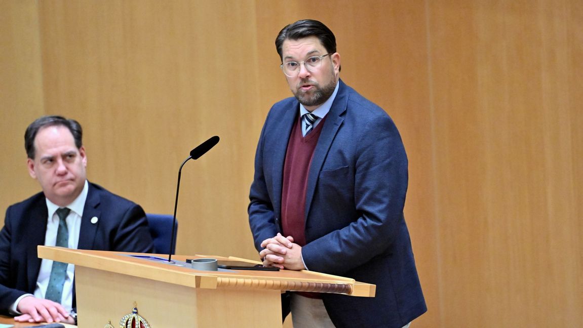 Jimmie Åkesson (SD) menar att föräldrarnas arbetstillstånd kan ha upphört. Foto: Pontus Lundahl/TT