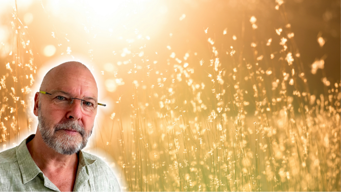 Vem skulle frivilligt välja bort liv och sol? Foto: Kent Pilcher, Unsplash