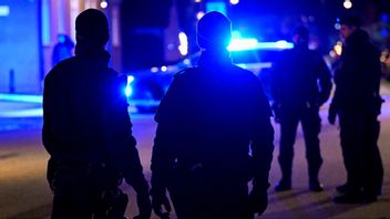 En hund har bitit en liten pojke i Göteborg. Arkivbild. Foto: JOHAN NILSSON/TT