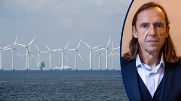 Vindkraftparken Lillgrund i Öresund. Foto: Drago Prvulovic/TT