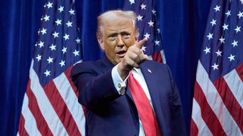 Foto: Evan Vucc/AP/TT