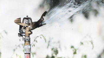 Foto: Fredrik Sandberg/TT