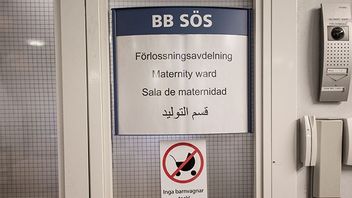  Bild: Anders Ahlgren / SvD / TT 