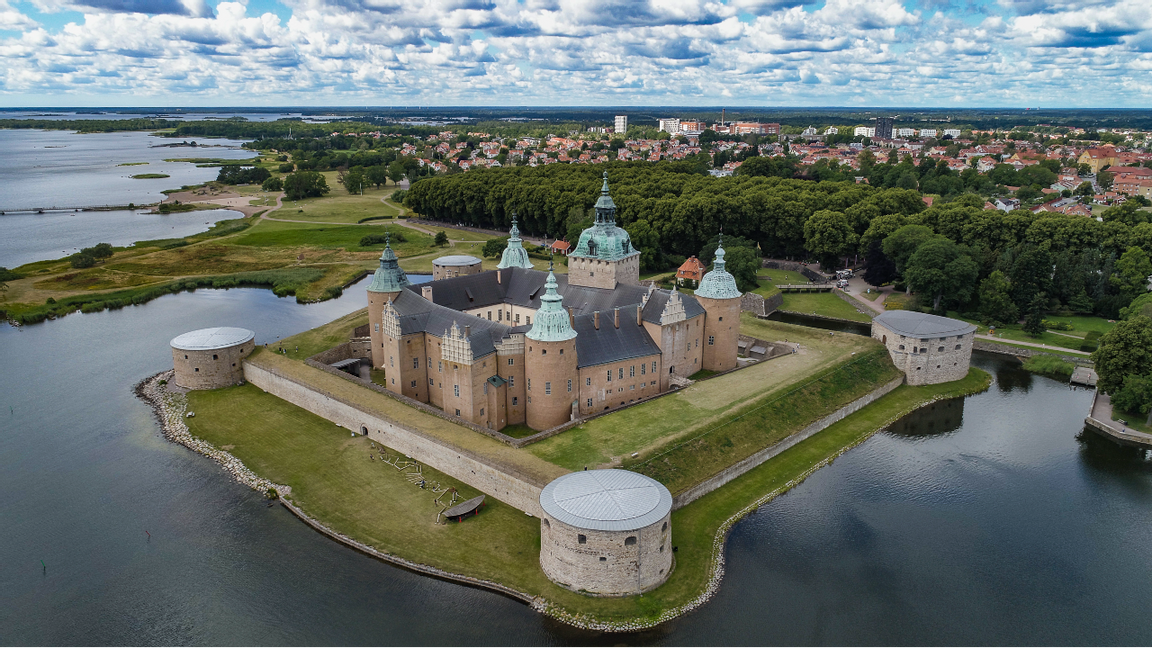 Uppemot 1000 döda skrattmåsar har hittats i området kring Kalmar slott. Foto: Jonas Ekströmer/TT