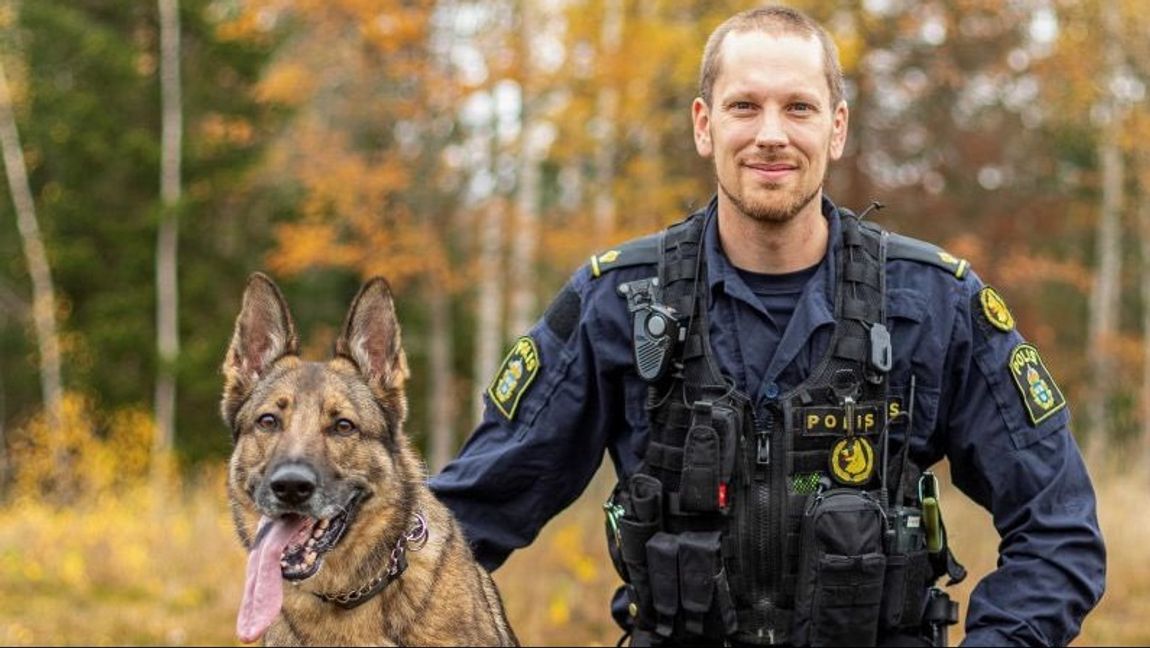 Lundy är årets polishund. Foto: