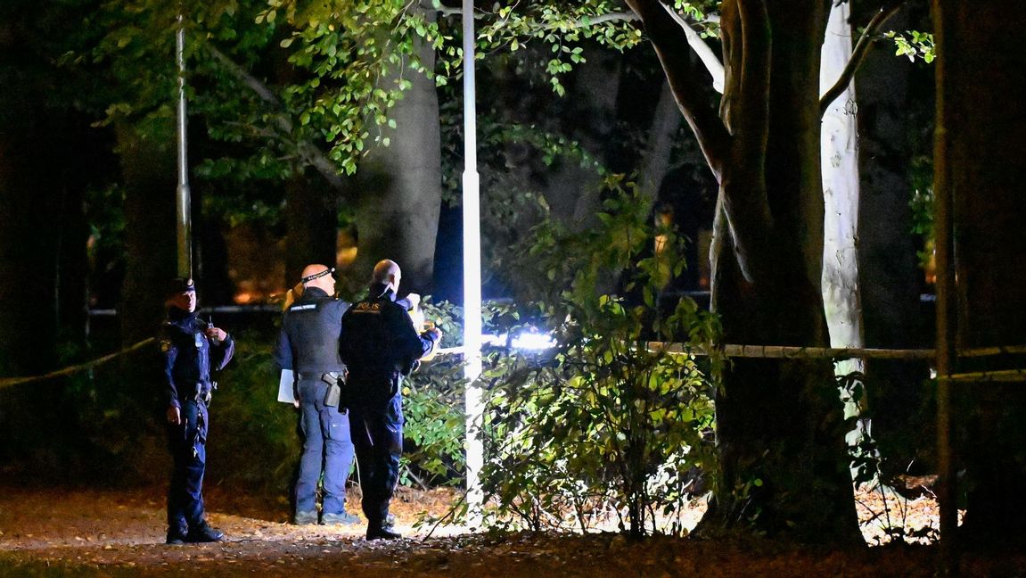 Poliser på plats i parken i Malmö samma kväll en ung kvinna larmade om att hon blev förföljd. Foto: Johan Nilsson/TT