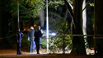 Poliser på plats i parken i Malmö samma kväll en ung kvinna larmade om att hon blev förföljd. Foto: Johan Nilsson/TT