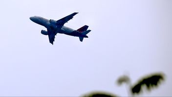 Utrikesflyget ökade under februari från Sveriges flygplatser. Samtidigt fortsätter inrikesflygandet att minska. Arkivbild. Foto: JANERIK HENRIKSSON/TT