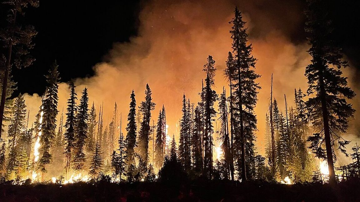 Gangerbild. Foto: U.S. Forest Service- Pacific Northwest Region