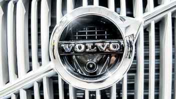 Arkivbild. Foto: MAGNUS HJALMARSON NEIDEMAN/SVD/TT