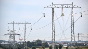 Foto: Johan Nilsson/TT.