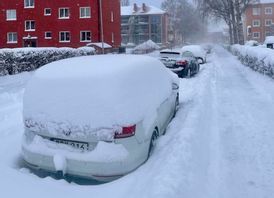 Snö i Uppsala på torsdagsmorgonen. Foto: Marcus Sjöholm/TT