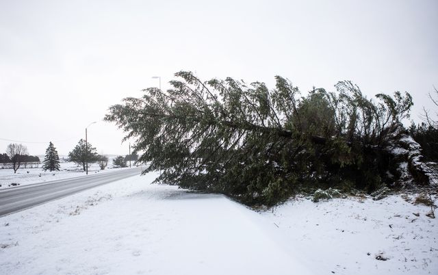 SMHI varnar för hårda vindar under lördagen. Arkivbild. Bøe Torstein/NTB/TT