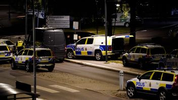 Foto: Björn Larsson Rosvall/TT