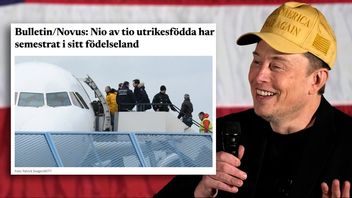 Elon Musk. Bilden är ett montage. Foto: AP/Bulletin/TT