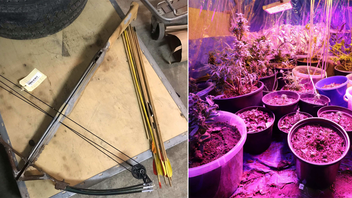 Finländsk man odlade cannabis i sin bostad där även polisen fann en vapengömma – och ett armborst. Foto: Polisen