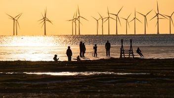 Arkivbild. Foto: Johan Nilsson/TT