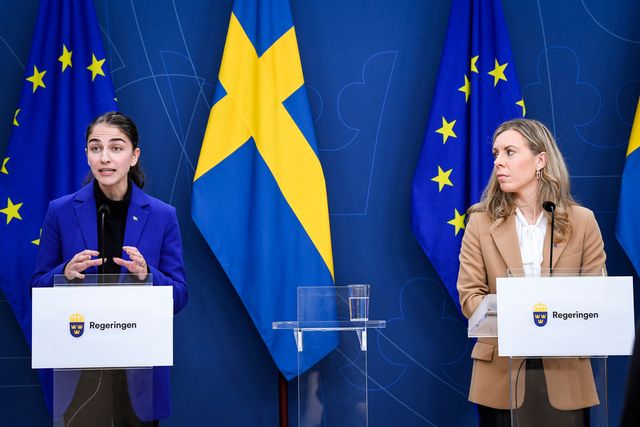 Flera miljöexperter riktar stark kritik mot direktiven för Tidöpartiernas nya klimatutredning. Arkivbild. Jakob Åkersten Brodén/TT