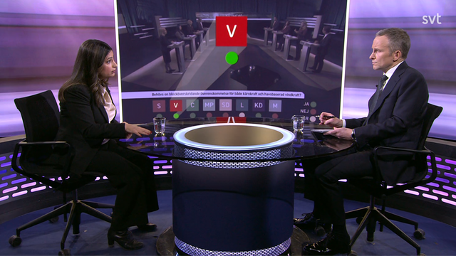 Nooshi Dadgostar (V) hävdade i 30 Minuter att Sverige nästan hade kunnat haft gratis el om det inte vore för exportkablarna. Foto: Skärmbild SVT Play