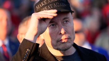 Elon Musk, ägare av sociala medie-plattformen X. Arkivbild. Foto: AP