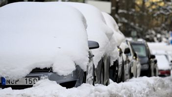 Foto: Janerik Henriksson/TT