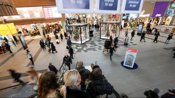 Nästa år får fler mer i plånboken i och med höga reallöneökningar spår LO-ekonomer. Arkivbild. Foto: Björn Larsson Rosvall/TT