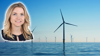 Stiltje för EU:s klimatpolitik. Foto: Nicholas Doherty, Unsplash