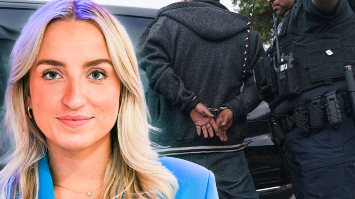 Ungsvenskarnas förbundsordförande Denice Westerberg efterlyser ett svenskt ICE. Foto: Henrik Montgomery/TT/AP