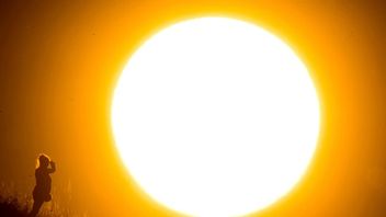 Genrebild. Bild: ulian Stratenschulte/dpa via AP