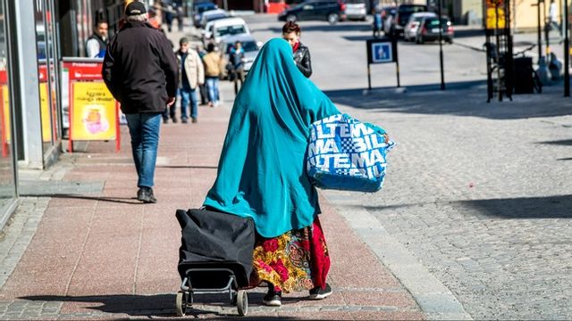 Kostnaderna för tolkar i vården har ökat de senaste tio åren. Arkivbild. Foto: Ulf Palm/TT