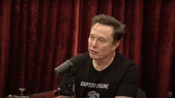 Elon Musk i Joe Rogan show, när han säger sina ord om empati. Skärmdump från youtube