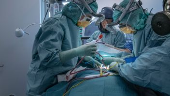 Framförallt har levande donationer dragits in under pandemin. FOTO: Staffan Löwstedt/SvD/TT.