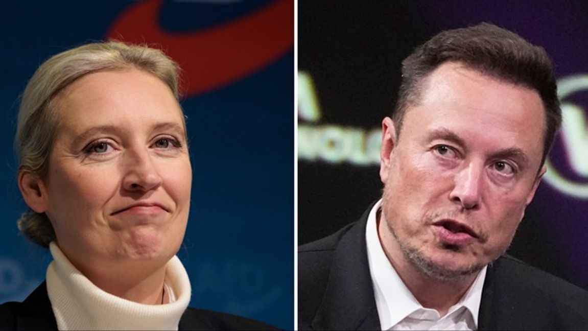 Alice Weidel samtalade med Elon Musk på X på torsdagskvällen. Foto: AP