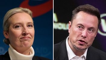 Alice Weidel samtalade med Elon Musk på X på torsdagskvällen. Foto: AP